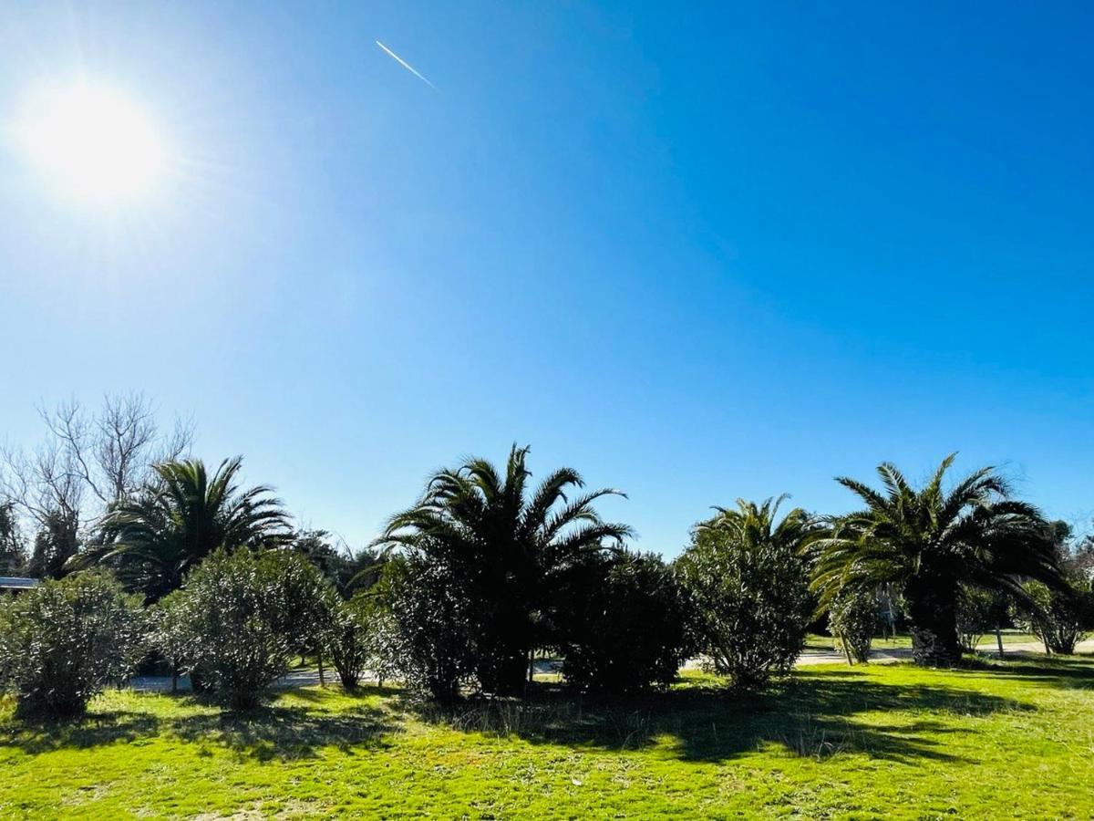 Regina Beach Holiday Apartments Tirrenia Buitenkant foto