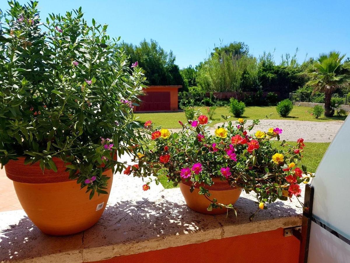 Regina Beach Holiday Apartments Tirrenia Buitenkant foto