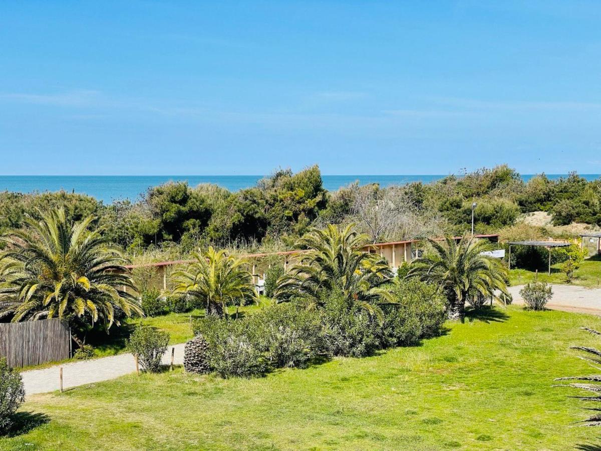 Regina Beach Holiday Apartments Tirrenia Buitenkant foto